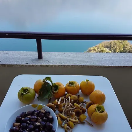 Appartement Il Bacio Sul Lago Valbrona